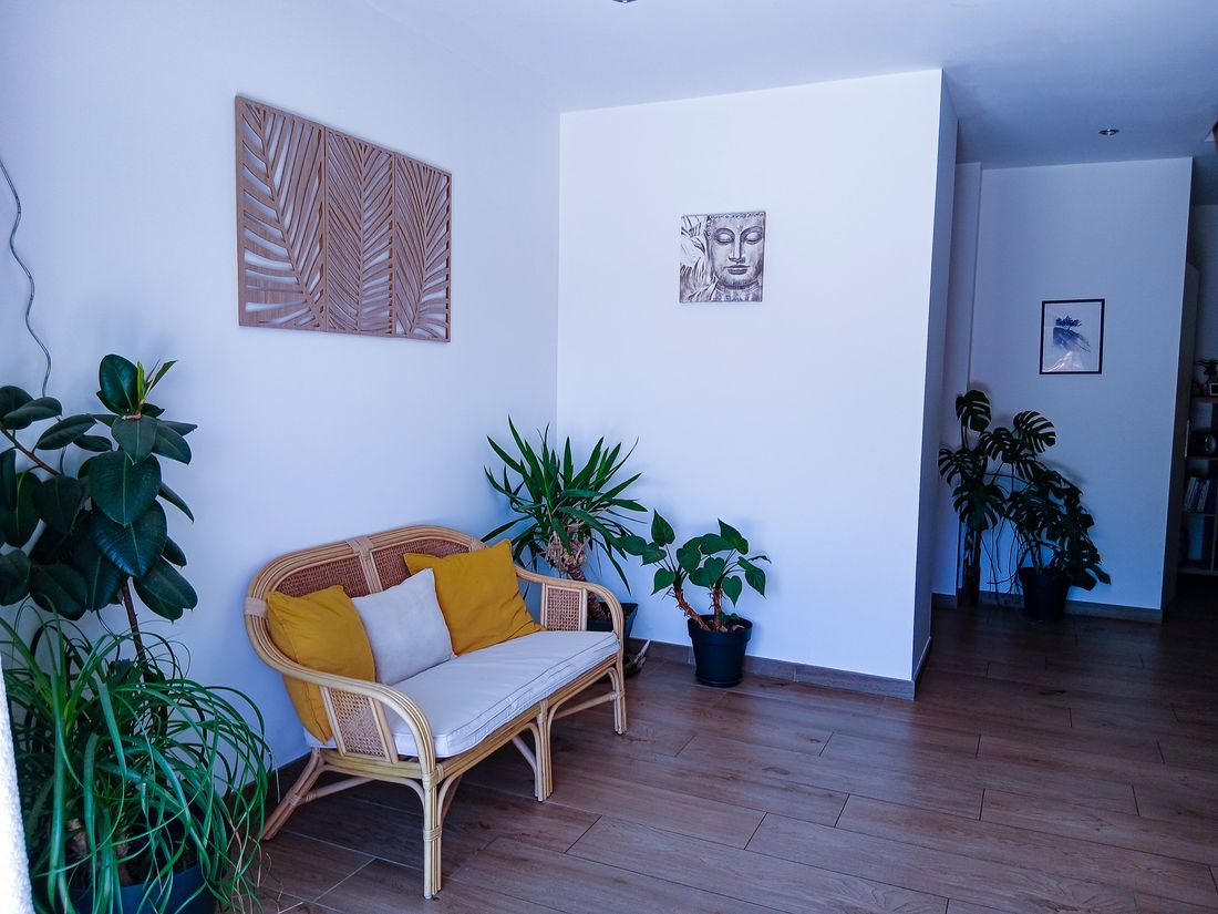Espace d'accueil lumineux avec plantes vertes
